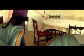 Животные смешное видео