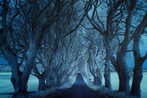 12 одиноких и великолепных дорог со всего света