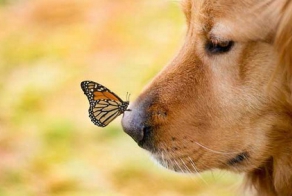 А вы знали, что...