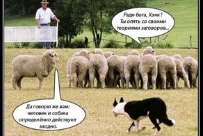 Самые популярные теории заговора