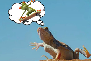 Лучшие приколы 2015