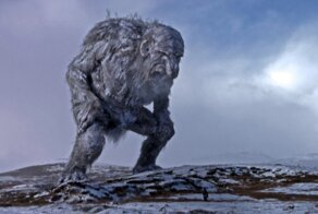 Пора принимать меры !!!