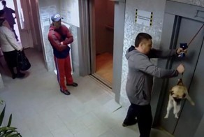 Спасли жизнь