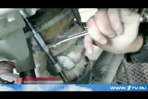 Удивительные спасения