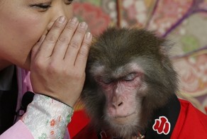 Лучшие фотографии животных со всего мира за неделю