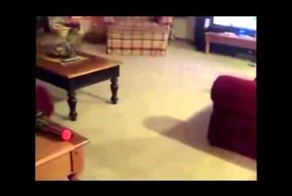 Подборка приколов