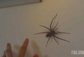 Лучшие фейлы прошедшей недели
