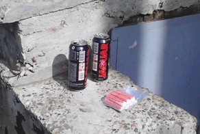 Вестник социальных сетей