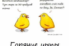 Животные, которые страдают от человеческих проблем и невзгод