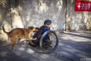 Преданность: большая Жёлтая Собака