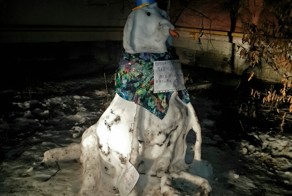 Железноводск, Необычный снеговик!