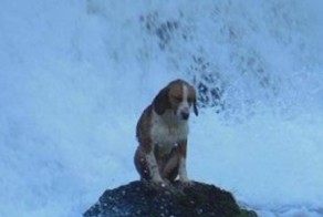 Да что вы знаете о безысходности