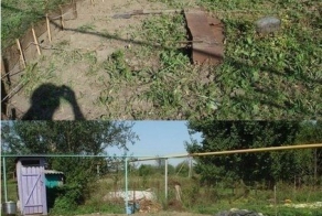 Бассейн своими руками