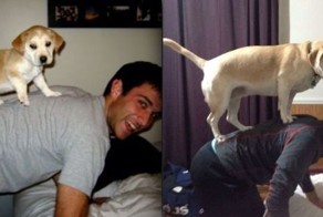 Прикольные фото