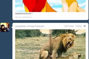 Прикол картинка