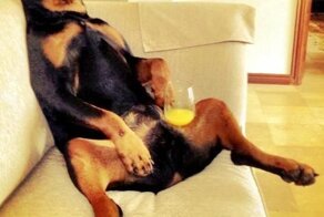 Улетное фото