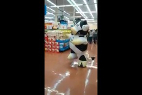 Когда по-настоящему любишь свою работу