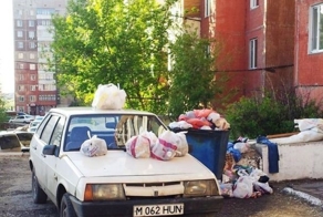 Нас всех парят олени которые паркуются как и где хотят