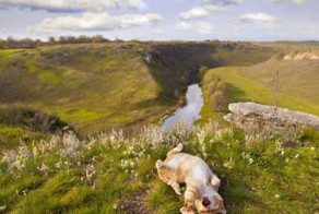 Бесплатный фотоприкол