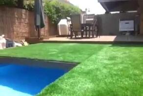 Легким движением руки газон превращается