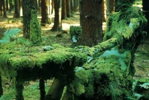 Фото прикол