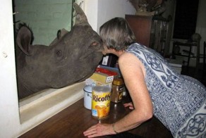 Фотоприкол онлайн