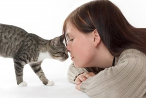 Навигатор для кота