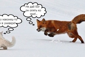 Во всех университетах страны