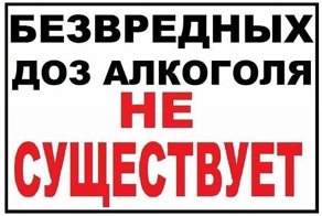 СТОП Алкоголь в Белгороде