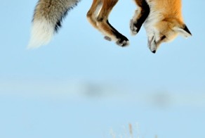 Пикантный фотоприкол