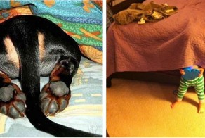 Прятки. Зверушки и Детишки