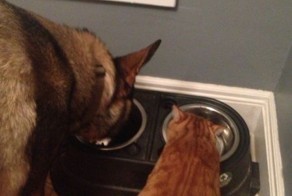 Прекрасные фото