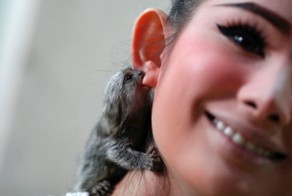 Фотоподборка