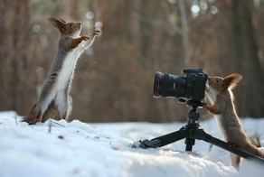 Фотоподборка за 19.01.2015