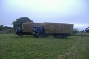 Современный соломенный дом