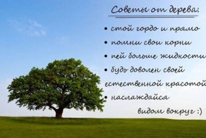 Фотоальбом