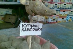 Прикольные фото и картинки от zubrilov за 10.12.2012 №139401