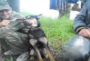 Не спи, Мухтар!