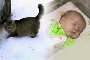 Добрые поступки людей, которые делают наш мир лучше