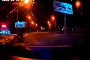 Спасли мужика от волкодава