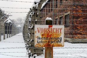 СМИ: освобождал Освенцим СССР, а на церемонию пригласили немца