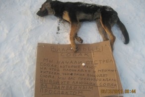 Догхантеры, вы уже надоели...