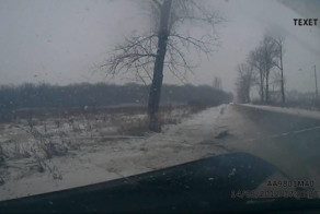 Единственное дерево и то поймал