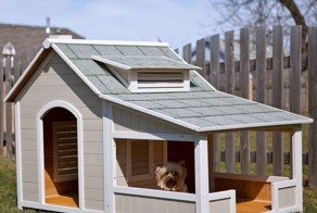 Домик для друга или будка