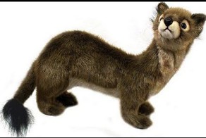 Какие детеныши у выдры?