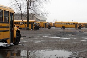 Полуостров Кони-Айленд спустя 40 дней (50 фото)