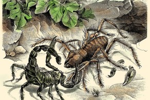 Прогноз: Из Днепропетровска начинается последняя фаза уничтожения Укра