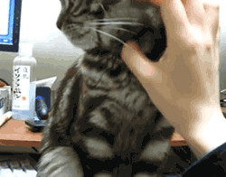 "Ну всё, достаточно."