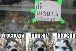 Смешные рисунки