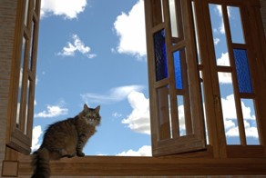 Сидит кошка на окошке